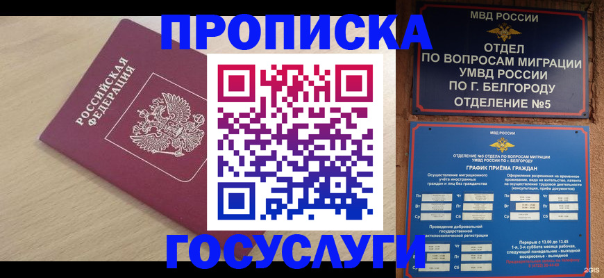 прописка законно в Сольцах